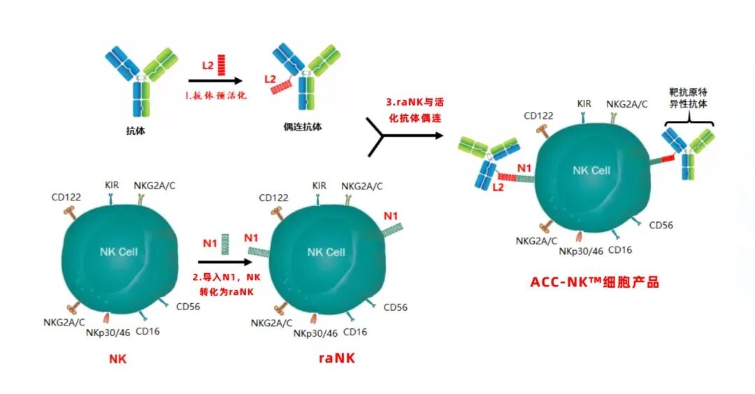 176767751419820237.jpg ecbe48479fdb02e55b6e5ec6594ad3be.jpg