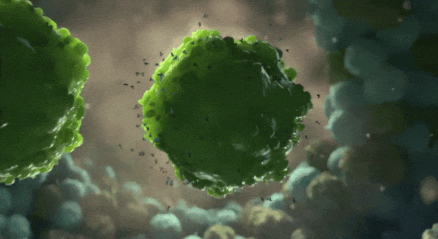 640.gif